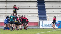 rugby 1